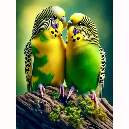 Lovebirds
