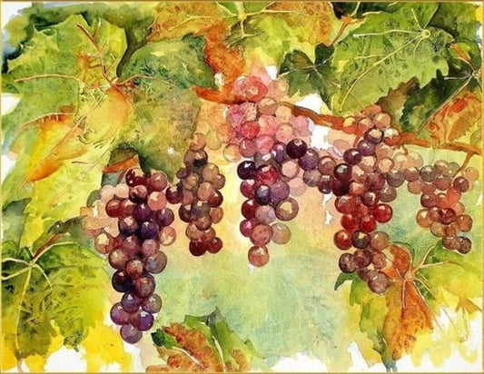 Hanging grapes