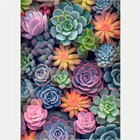 Colourful succulents