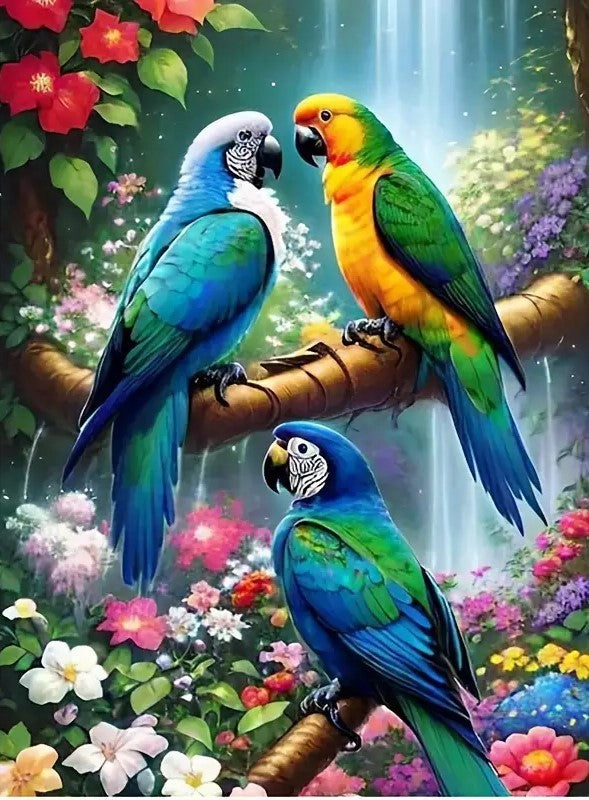 Three parrots