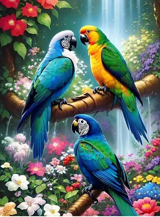 Three parrots